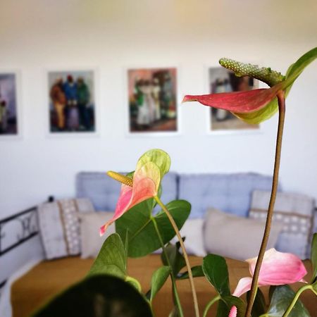 Casa Arte De Sorvilán Exteriér fotografie