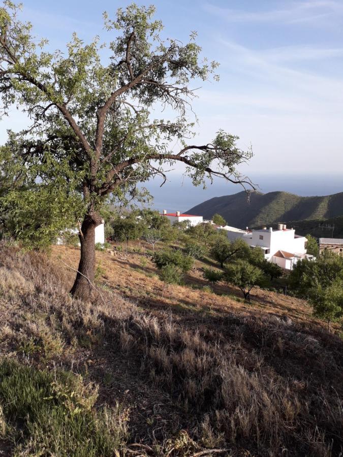 Casa Arte De Sorvilán Exteriér fotografie