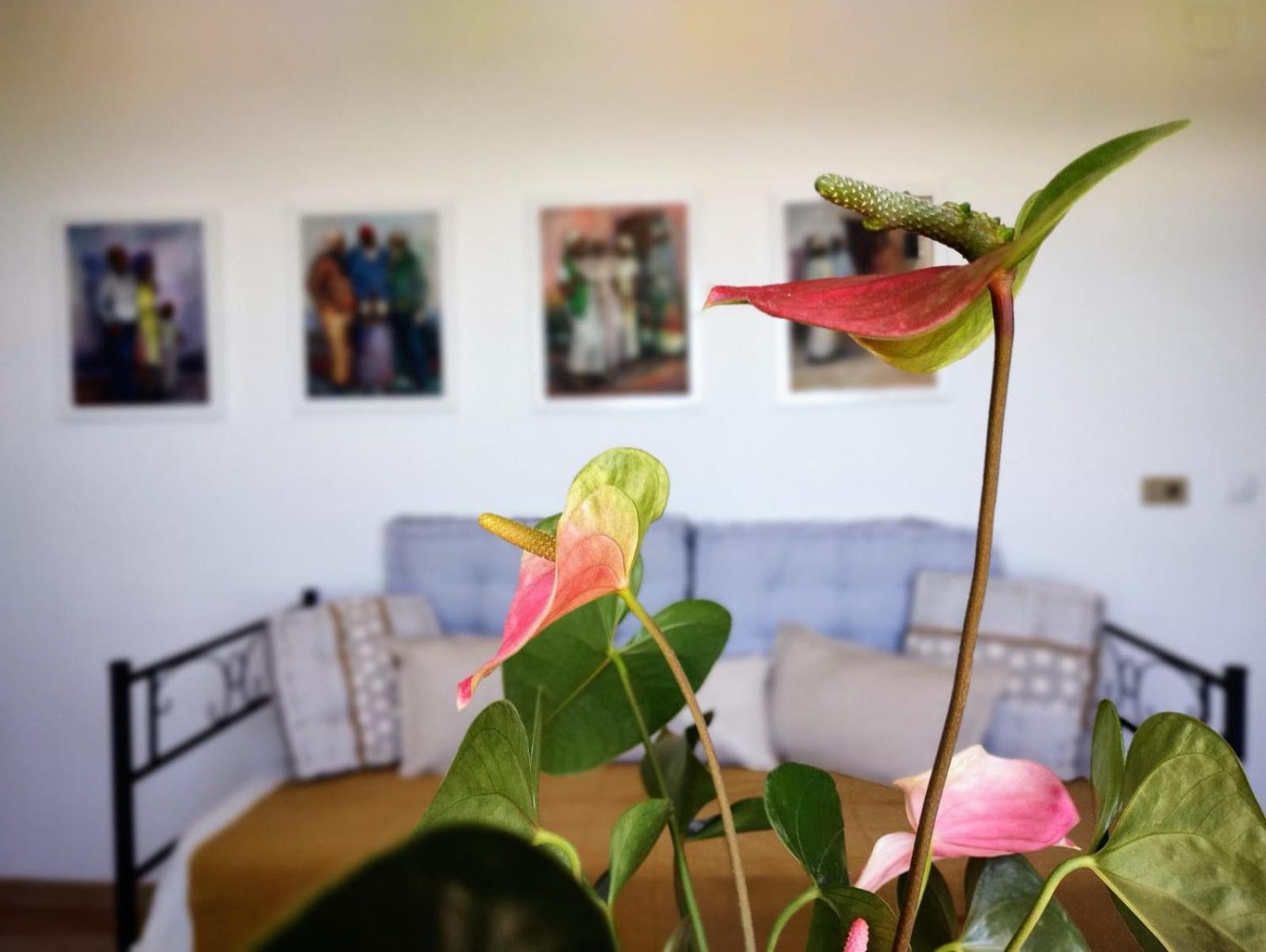 Casa Arte De Sorvilán Exteriér fotografie